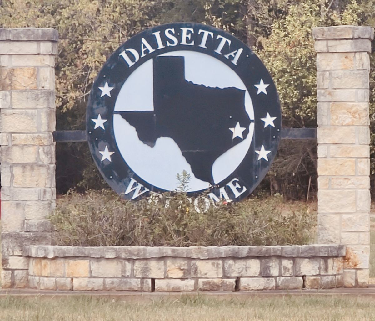 Welcome to Daisetta